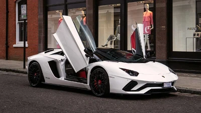 Front-Hinged Scissor Doors Front-Hinged Scissor Doors